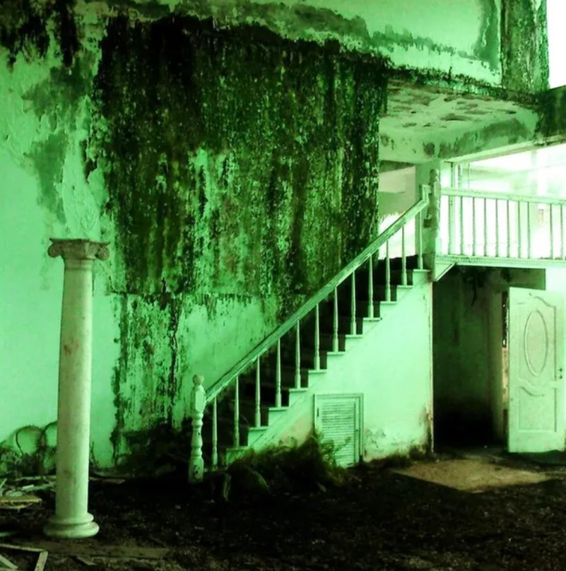 Rumah Tao Ming Tse di serial Meteor Garden ini dulunya mansion mewah, 9 potretnya kini terbengkalai