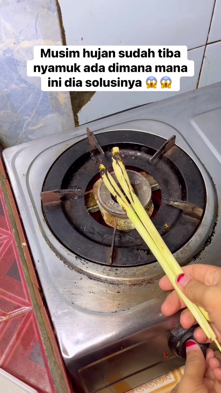 Musim hujan mulai banyak nyamuk di rumah? Coba solusi jitu ini untuk mengatasinya pakai 2 bahan dapur