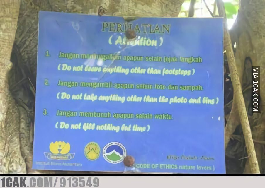 11 Tulisan nyeleneh di pohon ini bikin ngakak, niatnya serius tapi malah bikin nyengir sepanjang hari