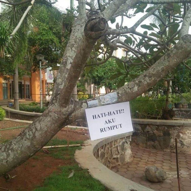 11 Tulisan nyeleneh di pohon ini bikin ngakak, niatnya serius tapi malah bikin nyengir sepanjang hari