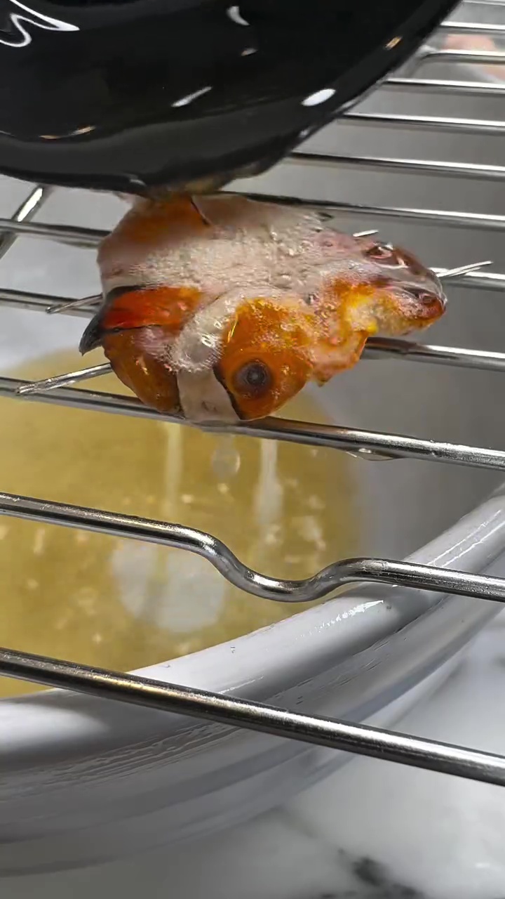  Aksi nekat chef masak ikan nemo jadi menu premium ini bikin heboh, warganet: memang aman dikonsumsi?