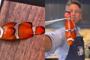  Aksi nekat chef masak ikan nemo jadi menu premium ini bikin heboh, warganet: memang aman dikonsumsi?