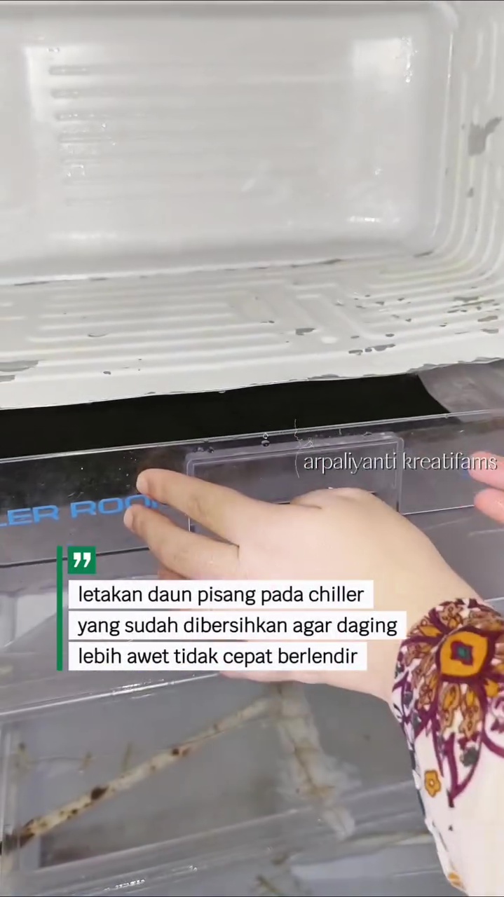 Ingin tahu rahasia daging di freezer lebih awet dan tak cepat berlendir? Kuncinya di 1 jenis daun ini