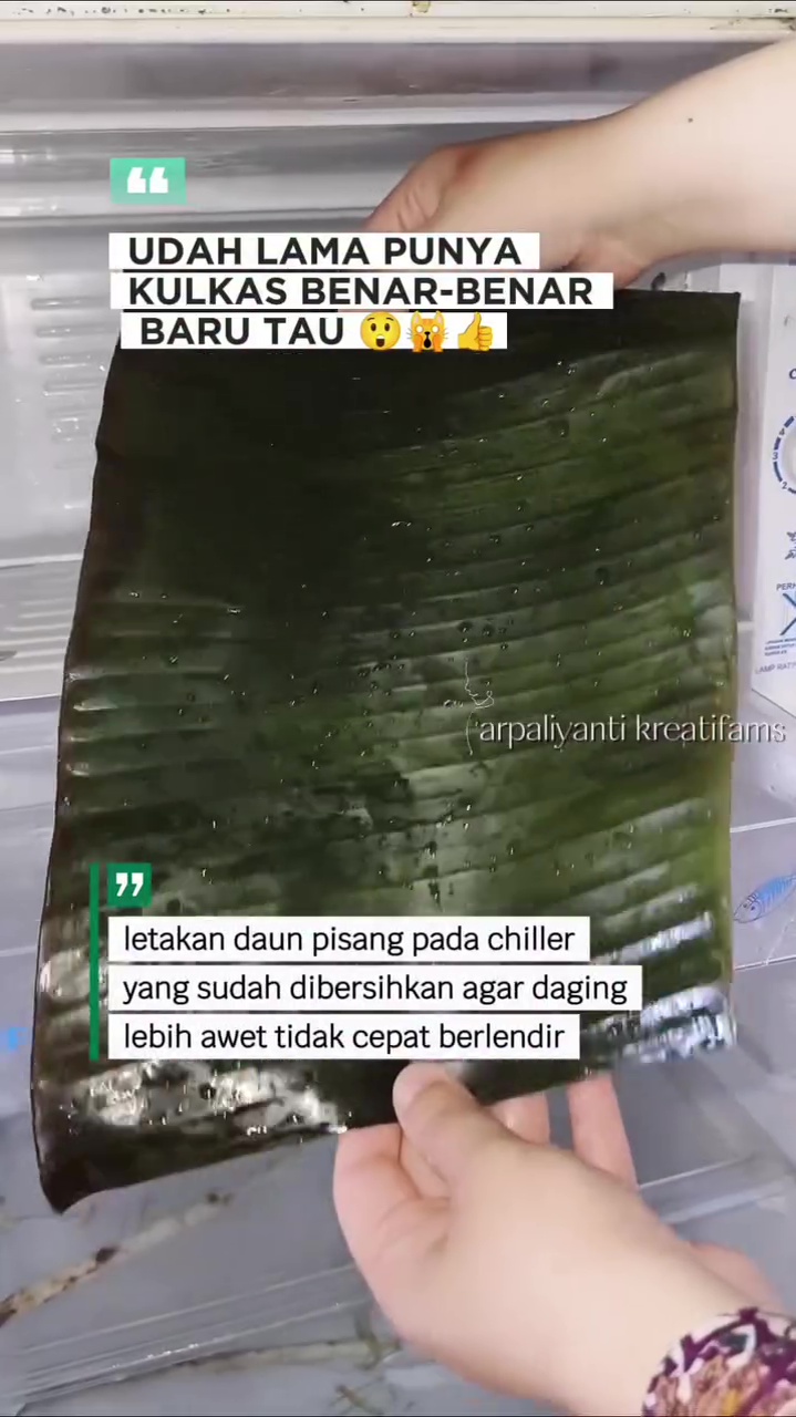 Ingin tahu rahasia daging di freezer lebih awet dan tak cepat berlendir? Kuncinya di 1 jenis daun ini