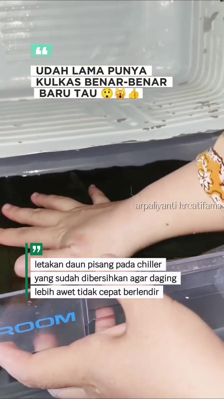 Ingin tahu rahasia daging di freezer lebih awet dan tak cepat berlendir? Kuncinya di 1 jenis daun ini