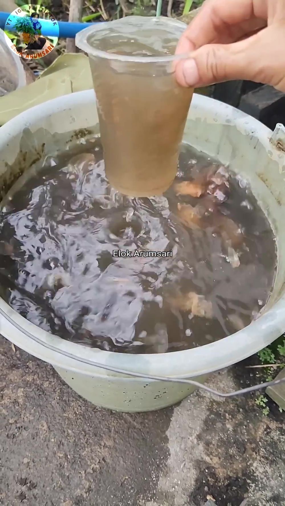 Semut di dalam media tanam bisa ganggu pertumbuhan tanaman, pakai 1 bahan dapur ini untuk mengusirnya 