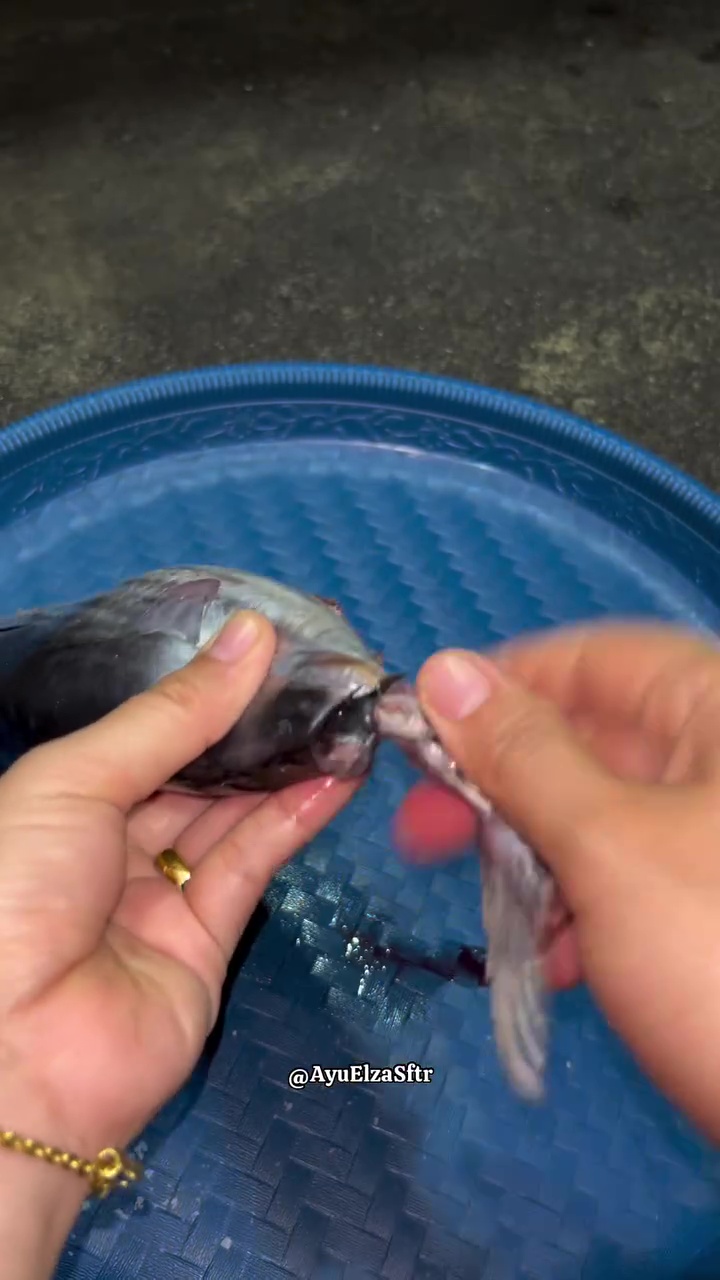 Ternyata membuang racun pada ikan tongkol cuma butuh 10 detik, dijamin nggak bikin gatal dan alergi