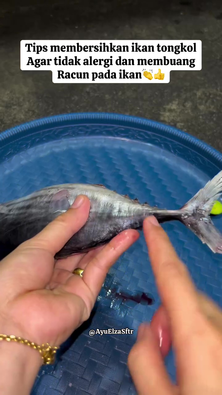 Ternyata membuang racun pada ikan tongkol cuma butuh 10 detik, dijamin nggak bikin gatal dan alergi