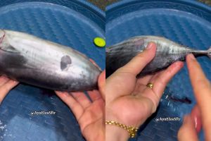Ternyata membuang racun pada ikan tongkol cuma butuh 10 detik, dijamin nggak bikin gatal dan alergi