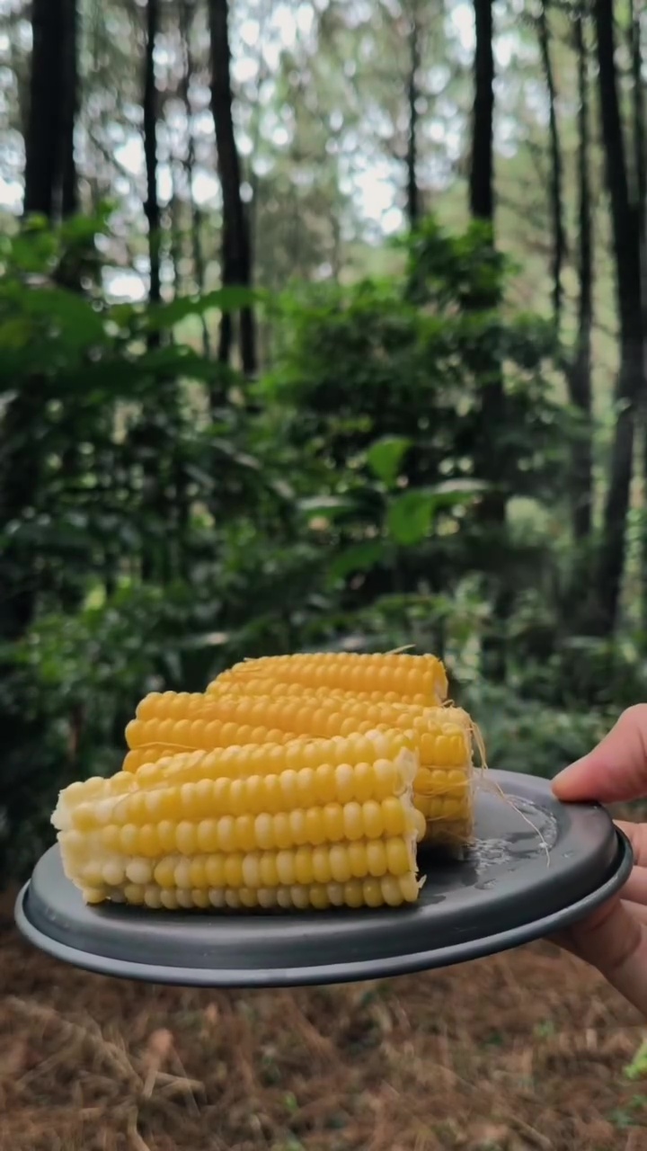 Pria ini bagikan trik mengukus makanan tanpa air, bisa matang sempurna dengan 1 bahan sederhana
