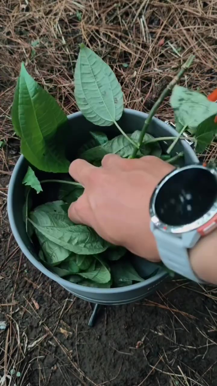 Pria ini bagikan trik mengukus makanan tanpa air, bisa matang sempurna dengan 1 bahan sederhana