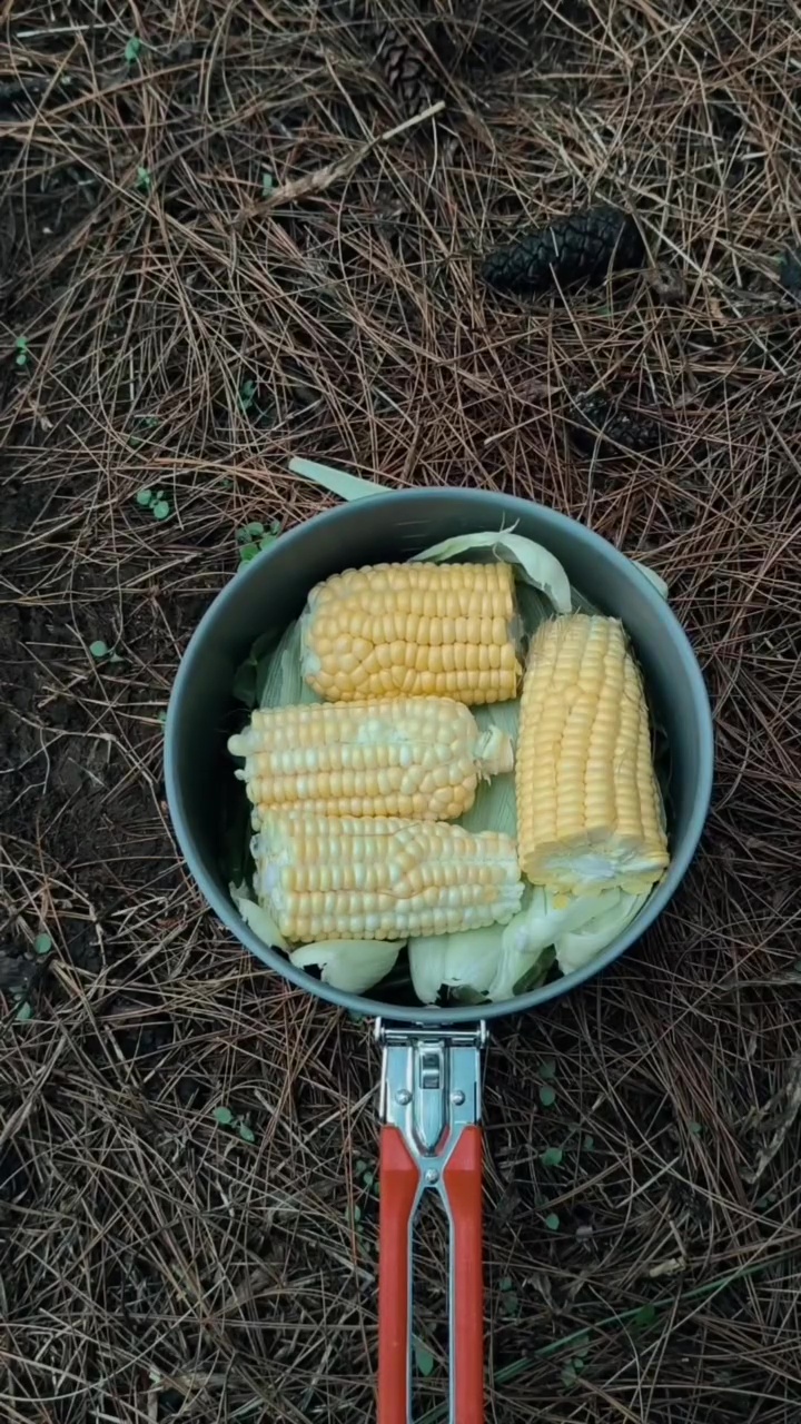 Pria ini bagikan trik mengukus makanan tanpa air, bisa matang sempurna dengan 1 bahan sederhana