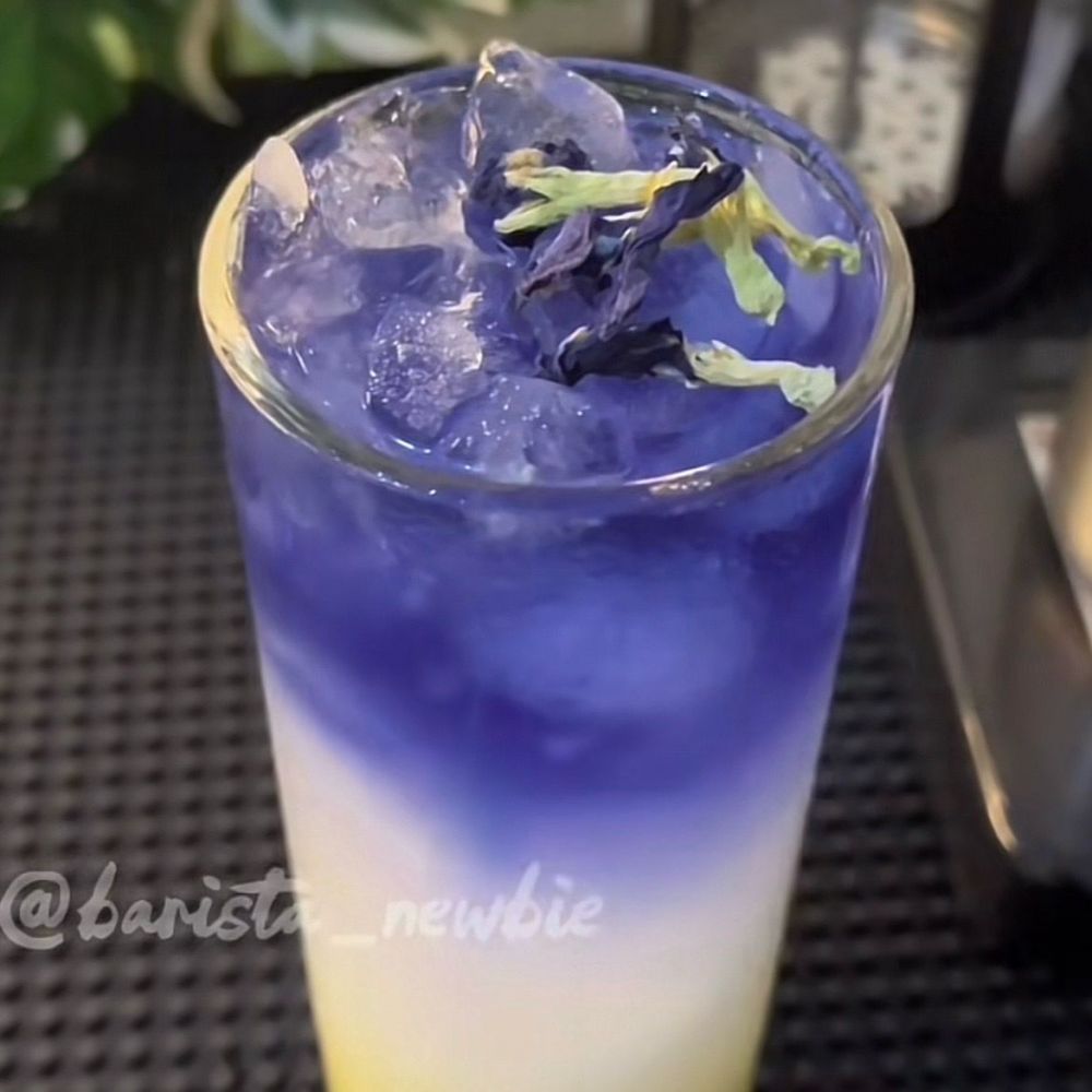 9 Resep minuman segar kekinian bersoda, auto semangat jalani hari dan bangkitkan mood