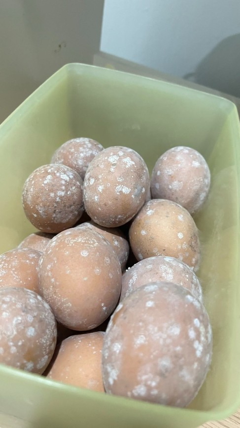 Niat nyetok, wanita ini malah dapati telur berjamur meski ditaruh kulkas, simak cara tepat simpannya