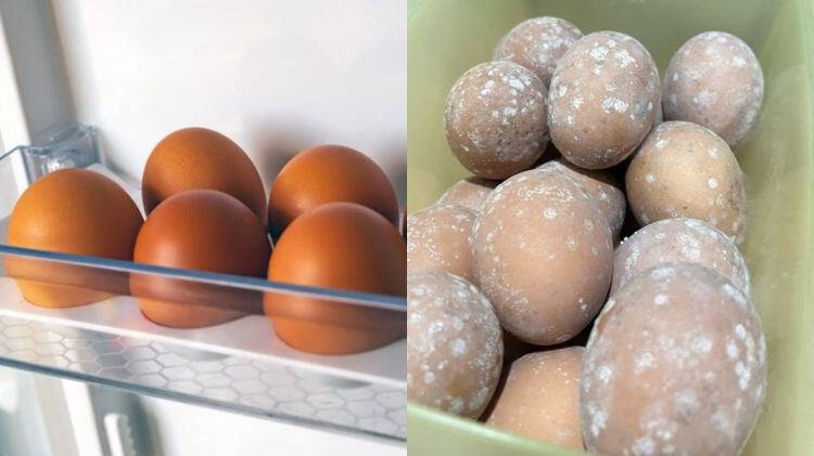 Niat nyetok, wanita ini malah dapati telur berjamur meski ditaruh kulkas, simak cara tepat simpannya