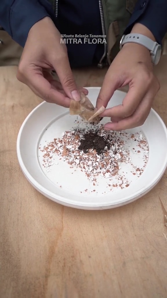 Cara olah cangkang telur dan ampas teh jadi pupuk NPK, praktis cuma butuh 3 langkah