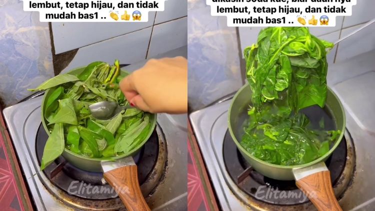 Ilmu dari pedagang nasi padang, ini trik daun singkong tetap hijau saat direbus dan tak mudah basi 