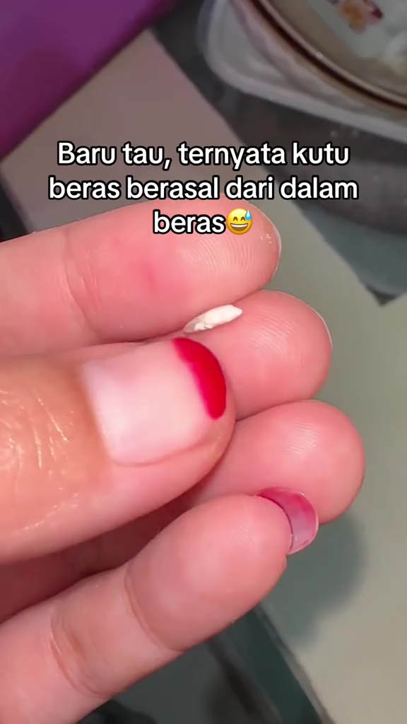 Wanita ini tunjukkan asal mula kutu yang ada di beras, endingnya bikin nggak nyangka