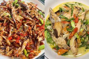 9 Resep olahan ikan tongkol pedas dengan bumbu yang bikin nagih untuk variasi menu mingguan