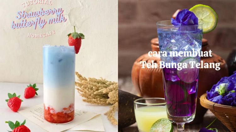 5 Resep minuman bunga telang kekinian tanpa blender, warna cantik alami