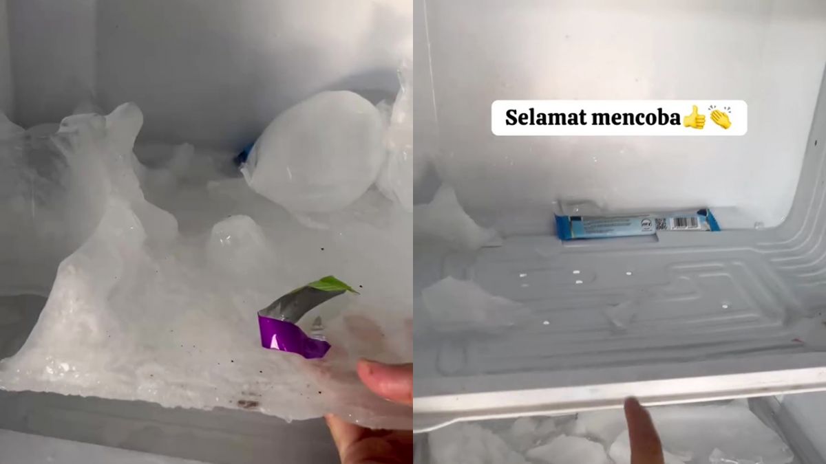 Cuma butuh 10 menit, bunga es di freezer auto mencair dan mudah dibersihkan, kuncinya di 1 alat ini