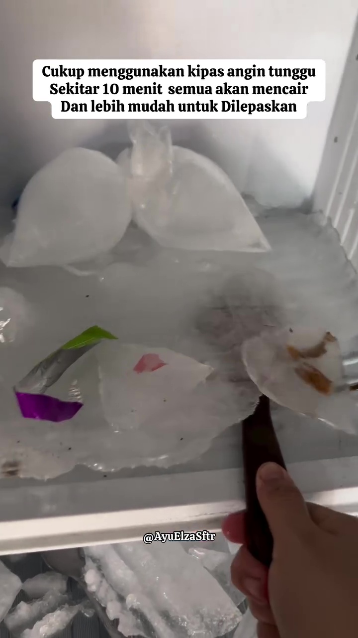 Cuma butuh 10 menit, bunga es di freezer auto mencair dan mudah dibersihkan, kuncinya di 1 alat ini