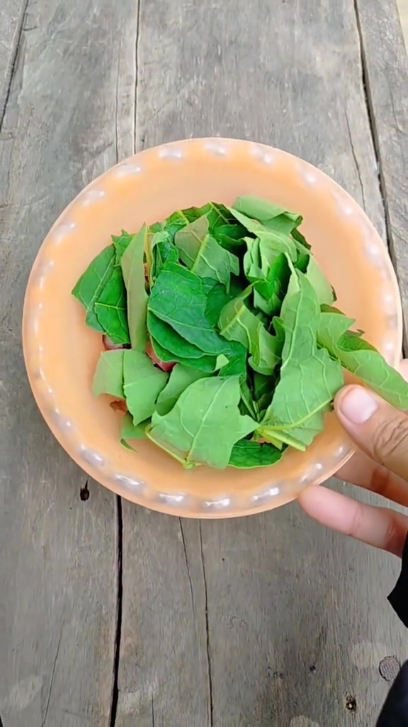 Takut tanaman sawi dan bayam bolong karena hama? Segera cegah pakai pestisida dari 2 bahan dapur