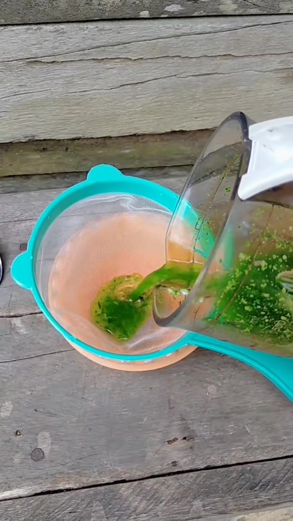 Takut tanaman sawi dan bayam bolong karena hama? Segera cegah pakai pestisida dari 2 bahan dapur