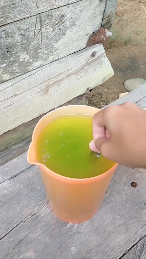 Takut tanaman sawi dan bayam bolong karena hama? Segera cegah pakai pestisida dari 2 bahan dapur