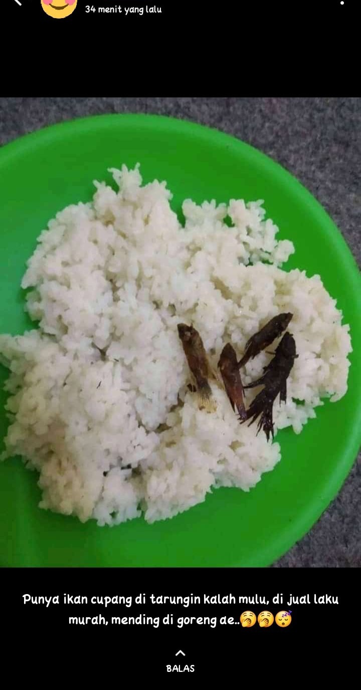 15 Momen apes pamer makanan, bukannya estetik malah gagal total