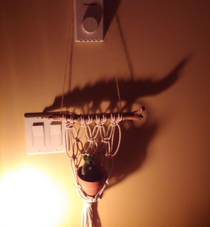 11 Potret bayangan benda yang tanpa sengaja jadi estetik abis, kayak karya seni alam