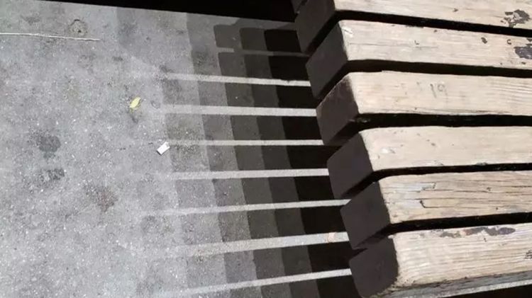 11 Potret bayangan benda yang tanpa sengaja jadi estetik abis, kayak karya seni alam