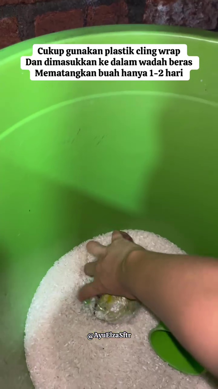 Tanpa karbit, ini cara cepat mematangkan buah mangga mentah dalam 1 hari, auto manis dan antibusuk