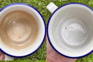 Masih kesulitan bersihkan kerak teh di gelas? Coba pakai cara dari ahli teh ini, praktis tanpa disikat