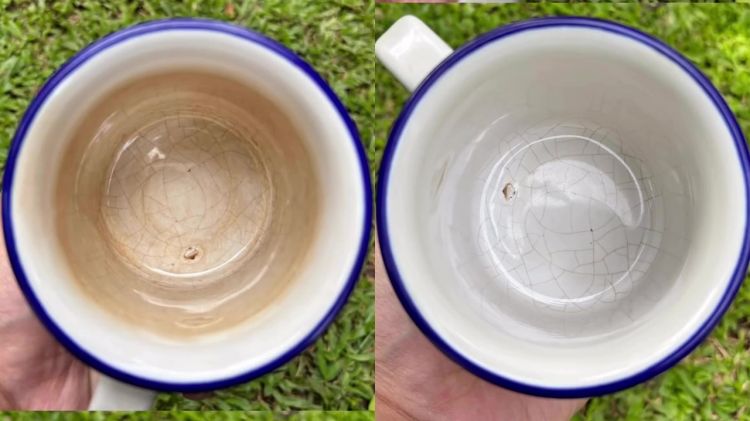 Masih kesulitan bersihkan kerak teh di gelas? Coba pakai cara dari ahli teh ini, praktis tanpa disikat