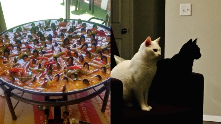 11 Potret ilusi optik yang sukses nge-prank mata, dilihat dua kali hasilnya tak sama