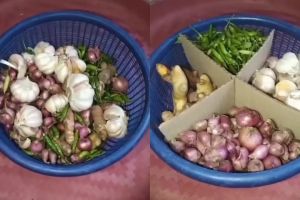 Cuma pakai 1 baskom, ini cara simpan aneka bawang dan cabai biar tak tercampur