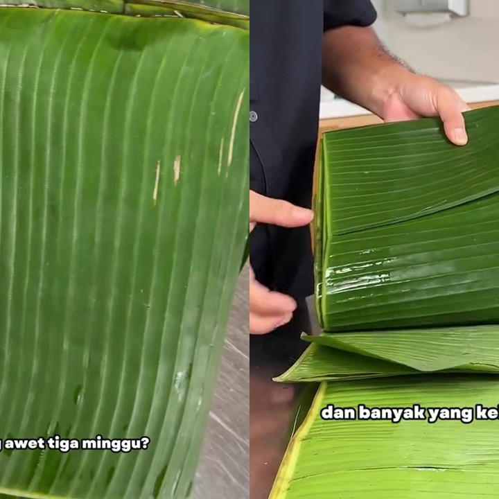 Jangan asal rendam, ini cara simpan daun pisang biar tak kering dan tetap hijau hingga 3 minggu 
