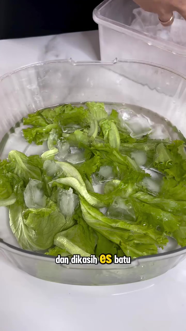 Punya selada layu jangan langsung dibuang! Atasi dengan 1 bahan minuman ini biar segar dan renyah lagi