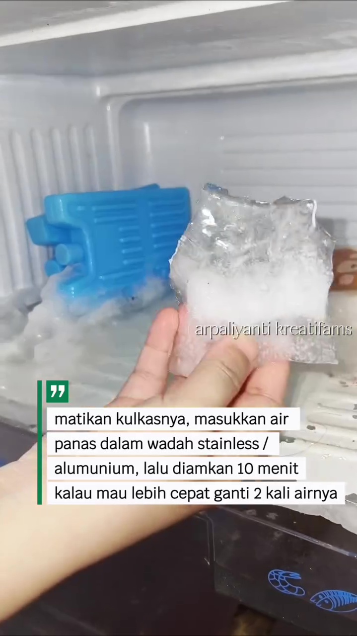 Cuma butuh 10 menit, bunga es di freezer langsung mudah dibersihkan tanpa tunggu mencair semalaman 