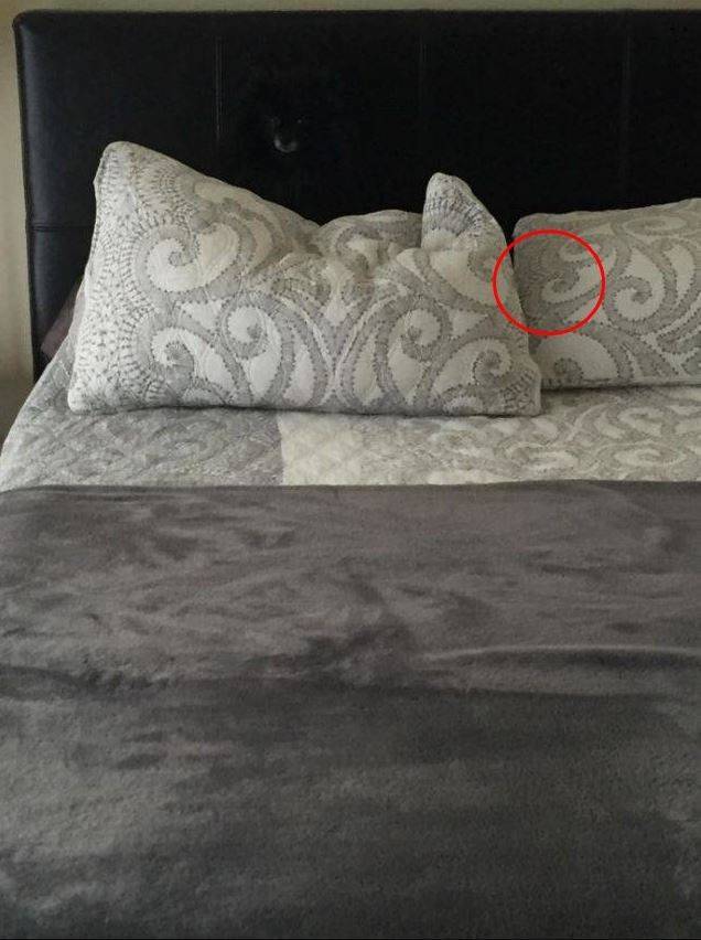 11 Potret nyeleneh dengan lingkaran merah nyeleneh, awalnya serem ternyata bikin ngakak