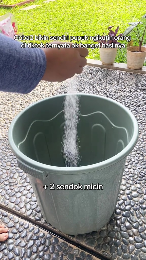 Ternyata semudah ini suburkan tanaman yang hampir mati, cukup pakai pupuk dari 2 bahan dapur