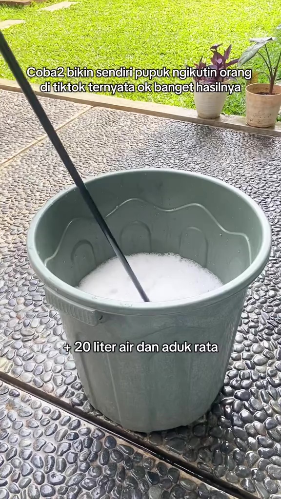 Ternyata semudah ini suburkan tanaman yang hampir mati, cukup pakai pupuk dari 2 bahan dapur