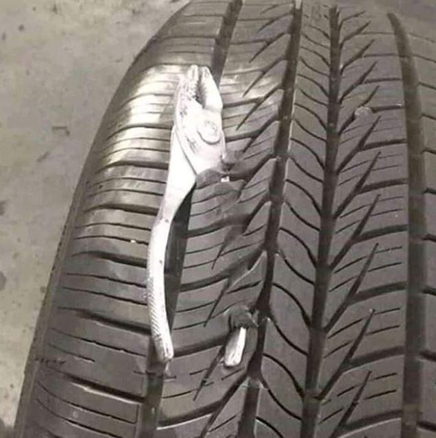 11 Momen lucu benda nyangkut di motor, bikin pengendara dan netizen auto garuk kepala