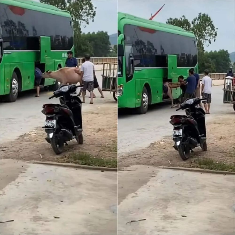 11 Momen tak terduga di tempat umum ini bikin mata melongo, antara lucu dan aneh banget