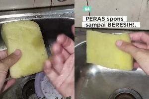 Spons baru sudah berlendir karena terlalu lama direndam? Ini cara mengatasinya biar steril dan tak bau
