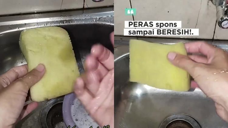 Spons baru sudah berlendir karena terlalu lama direndam? Ini cara mengatasinya biar steril dan tak bau