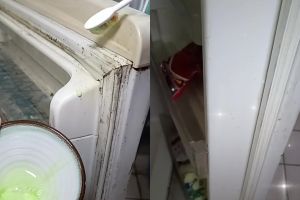 Sat-set tanpa bongkar, ini trik bersihkan karet pintu kulkas menghitam bermodal 2 bahan rumahan