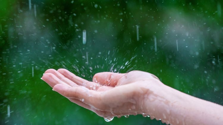 100 Kata-kata mutiara tentang hujan, bijak dan bikin tetap semangat