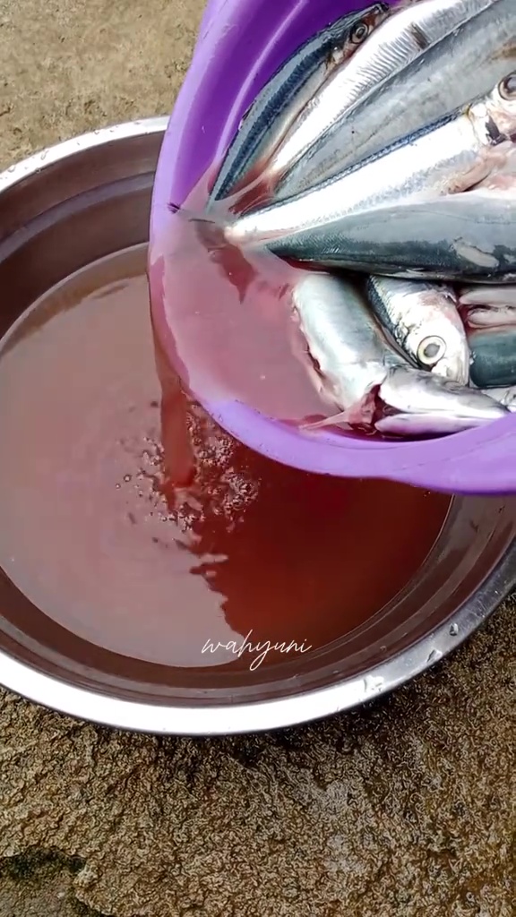 Tak banyak yang tahu! Ternyata air bekas cucian ikan bisa jadi POC tanaman, begini cara pakainya